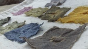 squares of cotton dyed in different natural colours