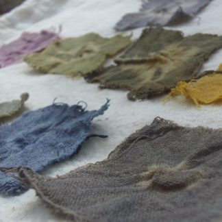 dye kit used to produce squares of cotton in different natural colours