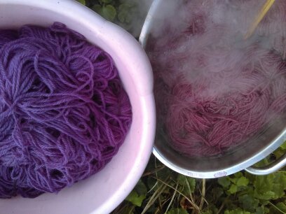 Wool being dyed purple using natural dye and natural mordants