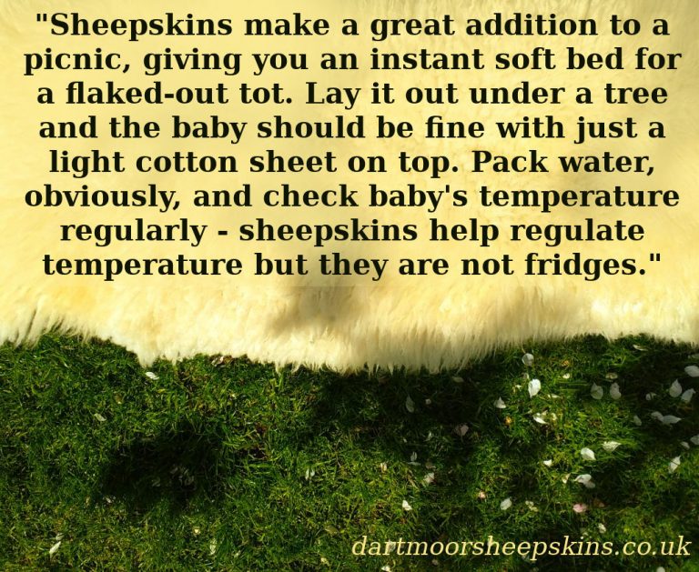 Can sheepskins keep babies cool in the heat? Dartmoor Sheepskins