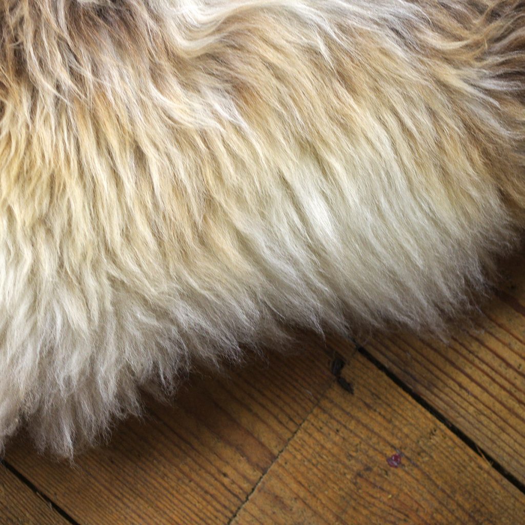 How To Wash A Sheepskin (it's easier than you think). Dartmoor Sheepskins