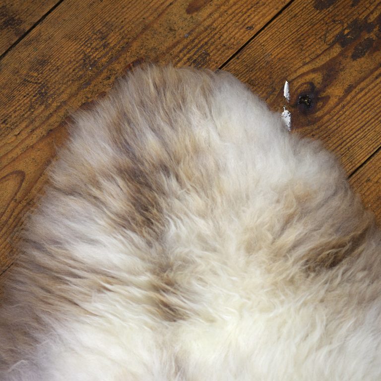 Are Sheepskins Ethical? Do sheep die to make sheepskins?