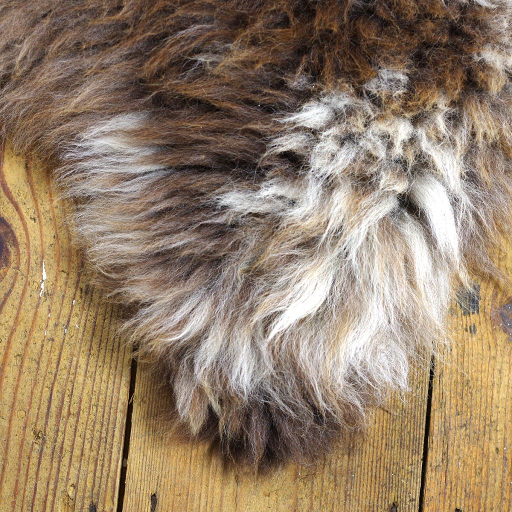 Are Sheepskins Ethical? Do sheep die to make sheepskins?
